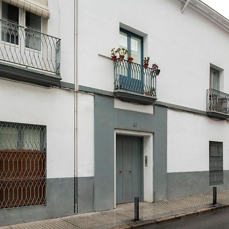 Alohamundi Pasion Sevilha Exterior foto
